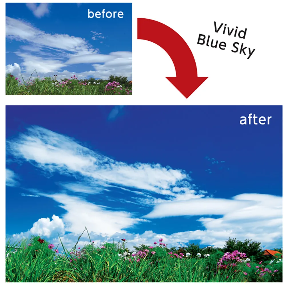 DHG Super Circular Polariser Filters