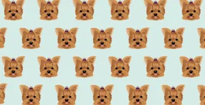 Yorkie Microfiber Pet Towel
